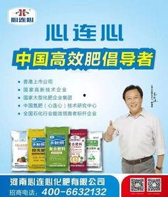 河南省农信社最新爆料,揭秘金融创新与风险防控新动态  第2张